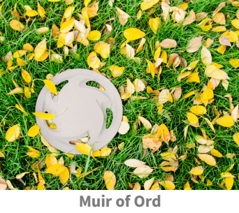 Hubcap lost to a pothole in Muir of Ord